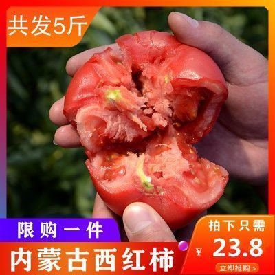 【河套西红柿】普罗旺斯西红柿新鲜自然熟5斤番茄蔬菜生吃沙瓤