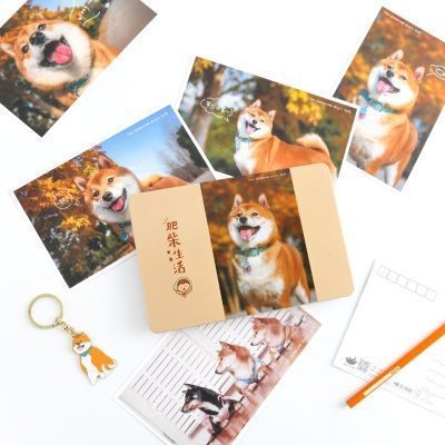 猫的天空之城 肥柴生活明信片铁盒套装柴犬狗狗加钥匙扣 12张入
