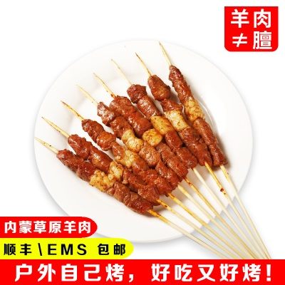 【天赋河套】内蒙羊肉串羔羊肉烧烤食材半成品组合装100串