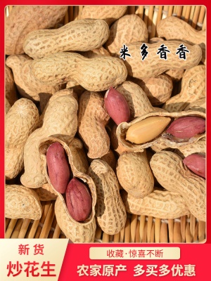 原味带壳炒大花生炒熟花生新货批发柴火铁锅沙子现发零食沂蒙特产