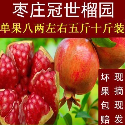 山东枣庄峄城特产大马牙甜石榴5斤