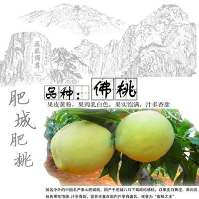 泰安肥城桃佛桃蜜桃肥桃六个装