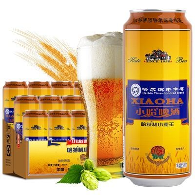 哈特小麦王啤酒 500ml*12罐哈尔滨老字号10度精酿黄啤整箱装