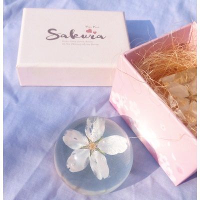 6cm吉野樱球