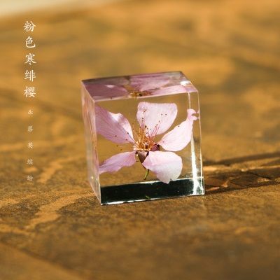 3厘米粉色寒绯樱立方体