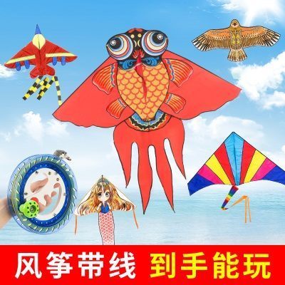潍坊风筝老鹰蝴蝶风筝 线轮套装